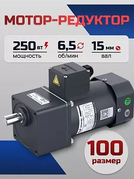 Мотор-редуктор 100YS250WGY38/22H/100GF200H 250 Вт 6.5 об/мин 220/380 В