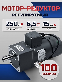 Регулируемый мотор-редуктор 100YT250WGV22H/100GF200H 250 Вт 6.5 об/мин 220 В