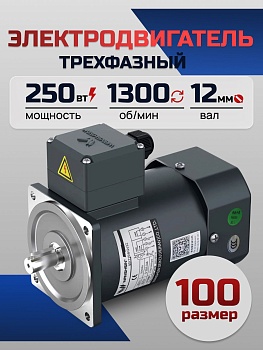 Электродвигатель трёхфазный 100YS250WDY38/22H 250 Вт 1300 об/мин 380/220 В
