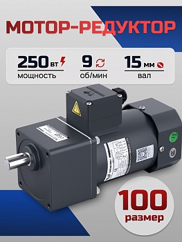 Мотор-редуктор 100YS250WGY38/22H/100GF150H 250 Вт 9 об/мин 220/380 В