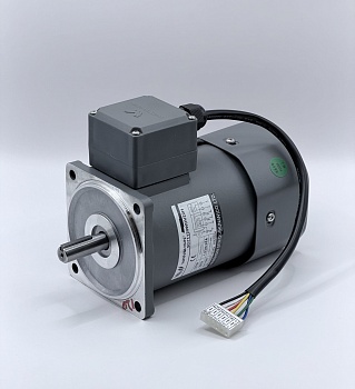 Электродвигатель однофазный регулируемый 100YT250WDV22H 250 Вт 1300 об/мин 220 В